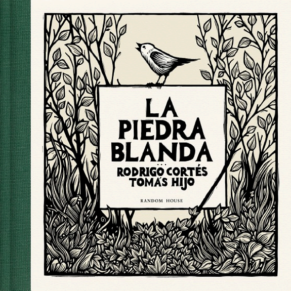 La piedra blanda